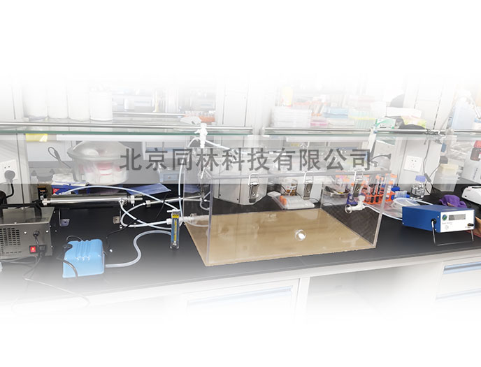 臭氧实验箱装置（小鼠暴露实验、动物细胞实验）