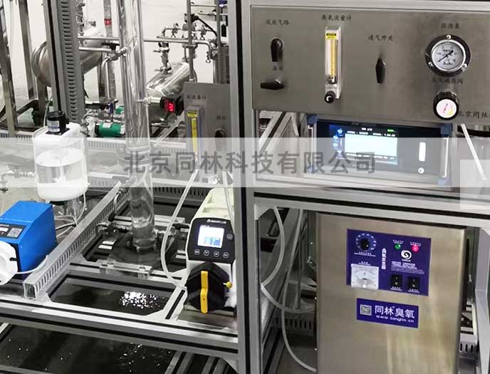 某知名环保公司3L臭氧催化氧化装置验收完毕